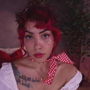 Profile preview